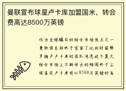 曼联宣布球星卢卡库加盟国米，转会费高达8500万英镑